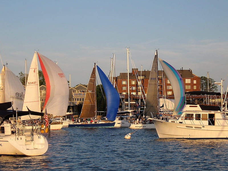 Sailing Through the Harbor, Sailing, Sailboats, Annapolis Maryland, Chesapeake Bay, Maryland, HD wallpaper