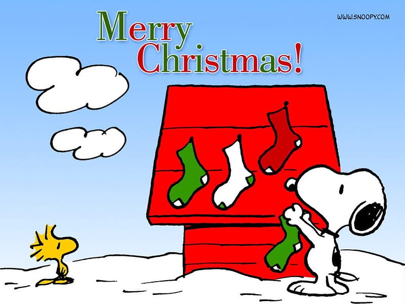 A Snoopy Christmas, snoopy, woodstock, stockings, bird, dog house, xmas, dog, HD wallpaper