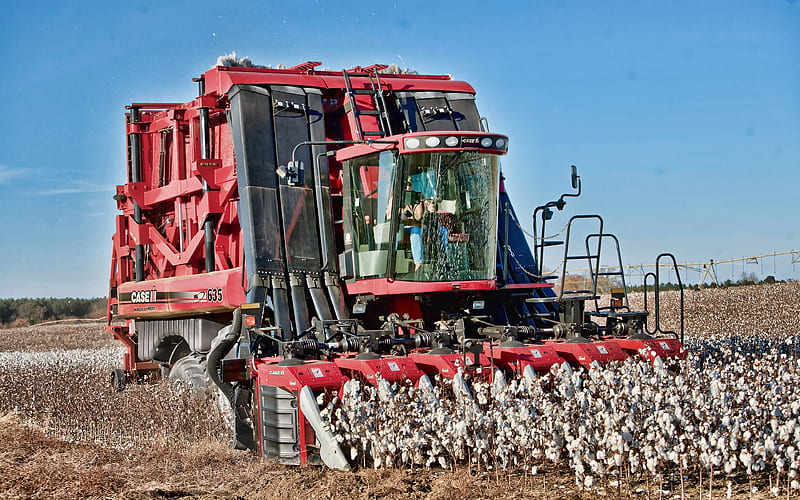 Case IH Module Express 635 cotton harvesting, 2019 combraines, agricultural machinery, Cotton Harvesters, R, harvest, combraine in the field, agriculture, Case, HD wallpaper