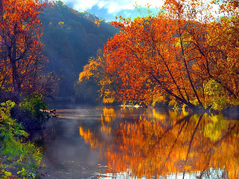 Tree in lake, colorful, autumn, riverbank, shore, sunny, bonito, clouds ...