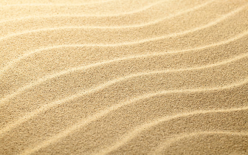 sand texture desert, macro, sand backgrounds, sand dunes, sand pattern, sand, HD wallpaper
