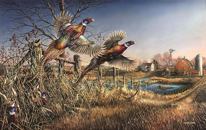 Pheasants, art, meger, pheasant, bird, painting, pasari, pictura, HD wallpaper