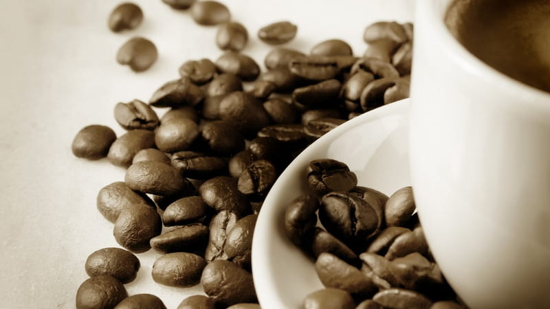 Fresh Ground Coffee, cup of java, coffee, java, HD wallpaper