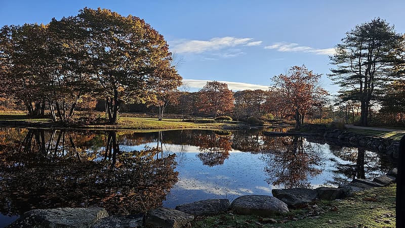 Beginning of fall in Kennebunkport, Maine, trees, landscape, water, reflections, usa, HD wallpaper