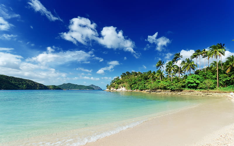 Tropical island, summer, ocean, beach, palm trees, summer vacation, blue sky, HD wallpaper