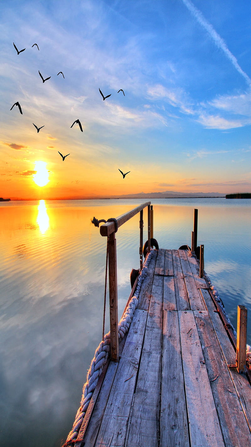 beautiful sunset, birds, clouds, nature, sea, sky, sun, HD phone wallpaper