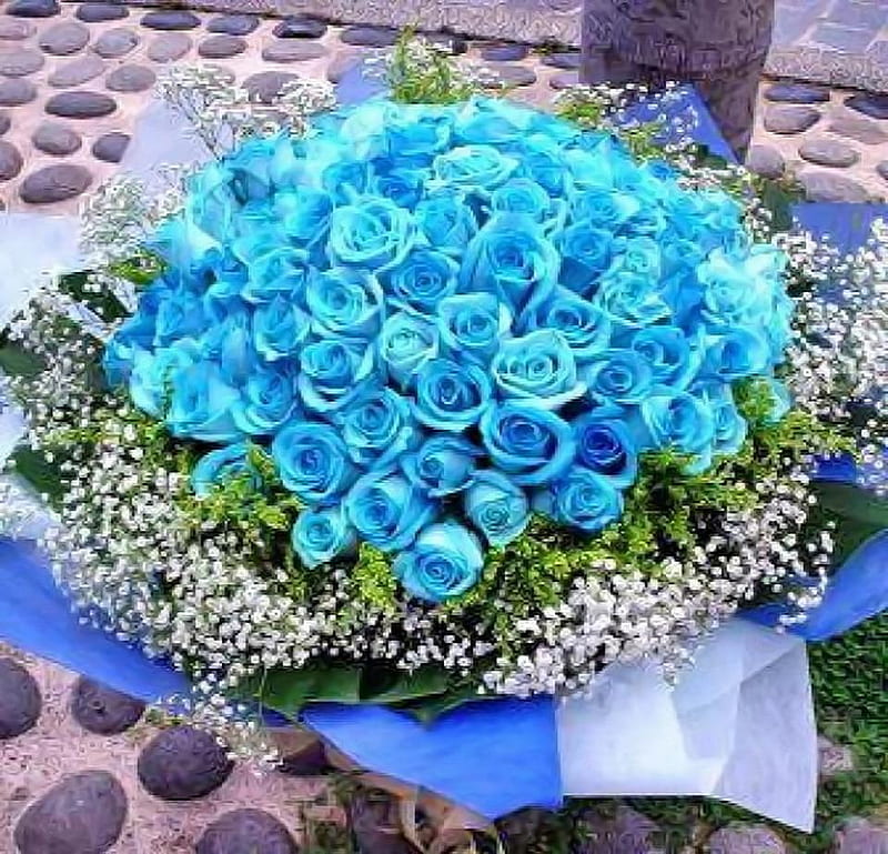 Beautiful Blue Roses, roses, bouquet, bunch of blue roses, blue roses, HD wallpaper