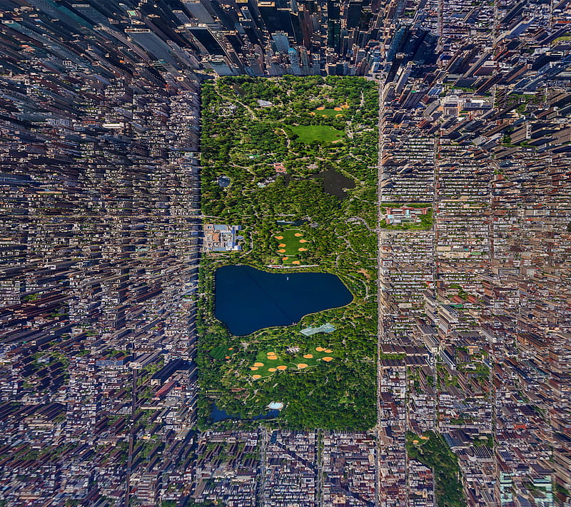 Central Park, central, newyork, park, HD wallpaper