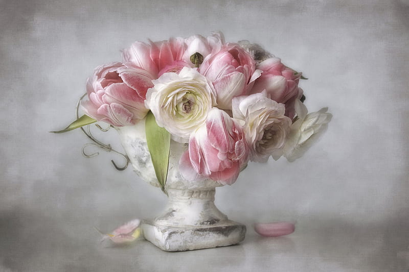 Flowers, ranunculus, white, pink, still life, rose, vase, HD wallpaper
