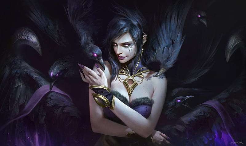 Morgana Superb Raven Jack Wang Frumusete Bird Gorgeous Dark