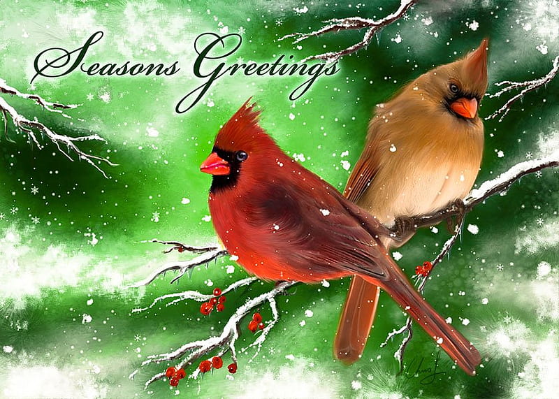 Cardinals, birds, christmas, green, HD wallpaper