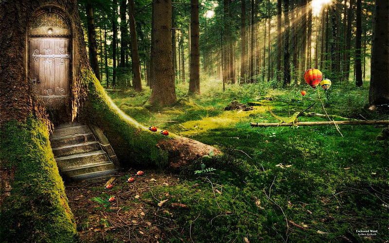 enchanted forest-Design, HD wallpaper