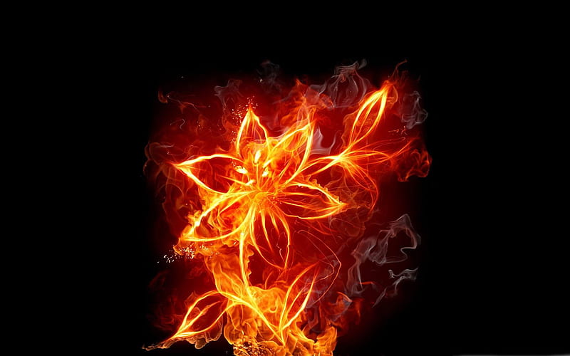 fire flower 01-The fire of artistic creativity design, HD wallpaper