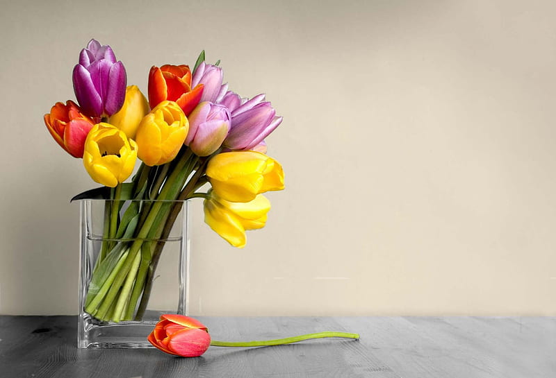 Spring fever, red, vivid colors, wonderful, yellow, lavender, floral, bright, arrangement, tulips, fever, magnificent, table, clear, spring, purple, bouquet, entertainment, violet, crystal, simplicity, fashion, HD wallpaper