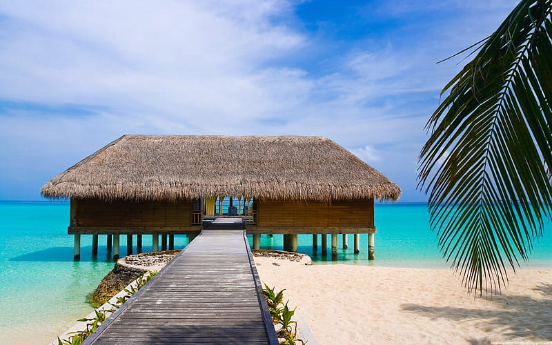 Private Beach, skies, beach, hut, sand, ocean, private room, tropical,  palms, HD wallpaper | Peakpx