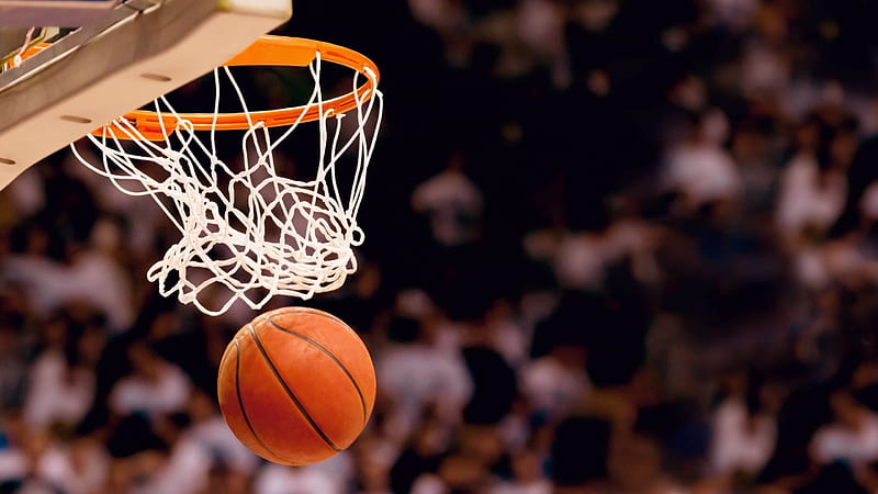 basket, ball, basketball, HD wallpaper