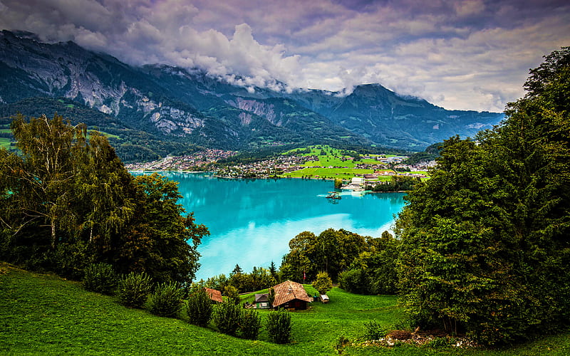 Brienz Lake summer, mountains, Alps, Switzerland, beautiful nature, Berne, Europe, HD wallpaper