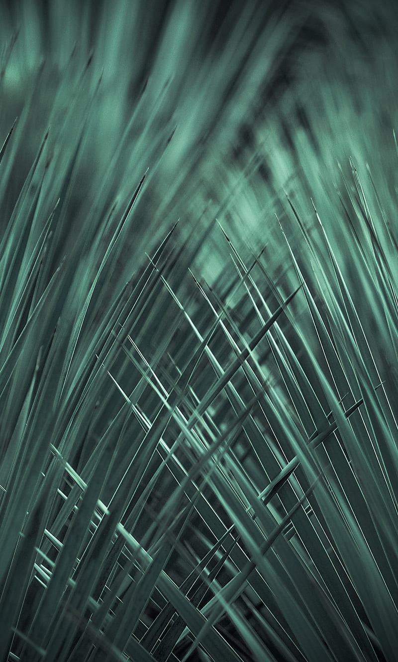 grass, weave, macro, HD phone wallpaper