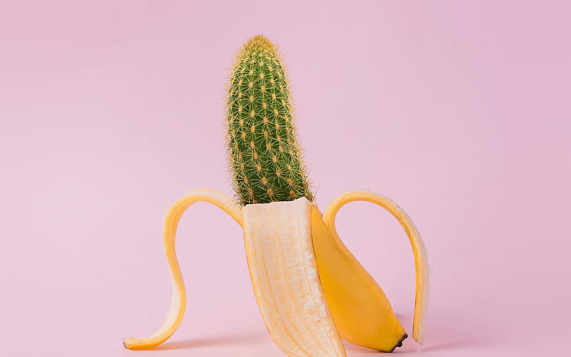 art, banana, cactus, HD wallpaper