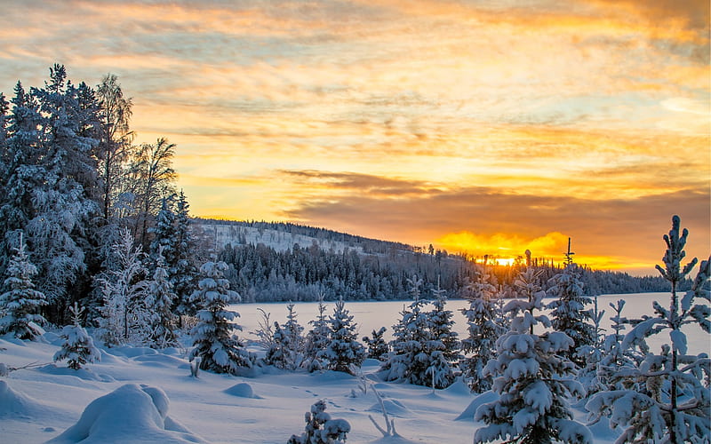 winter, sunset, mountain landscape, snow, forest, Sweden, HD wallpaper