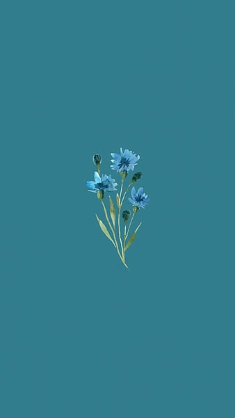 Blue Flower Images  Free HD Backgrounds PNGs Vector Graphics  Illustrations  Templates  rawpixel