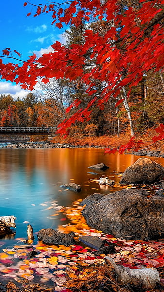 HD wallpaper fall autumn beautiful red nature beauty landscapes scenery thumbnail