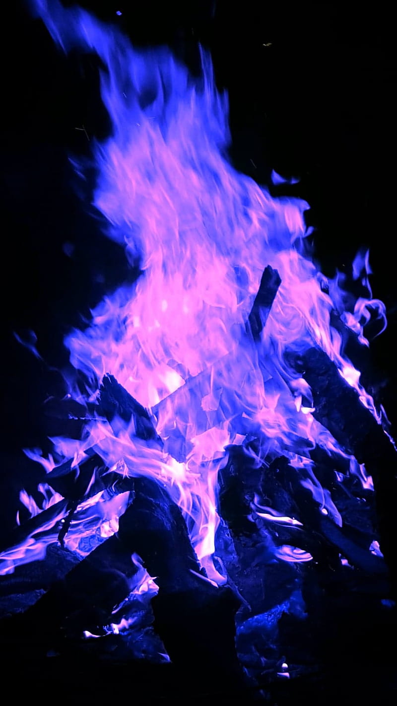 purple fire, campfire, flame, flames, night, pink, HD phone wallpaper