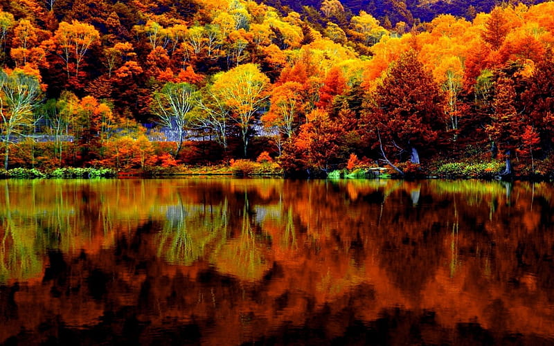 Autumn reflections, forest, shore, autumn, colors, bonito, trees, lake ...