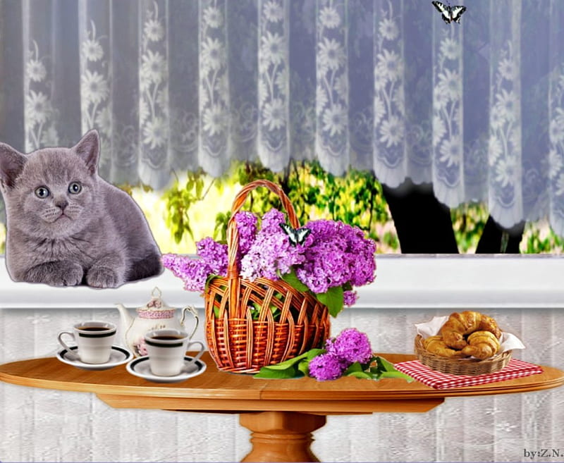  Buenos dias !, flores, gato, canasta, cafe, Fondo de pantalla HD