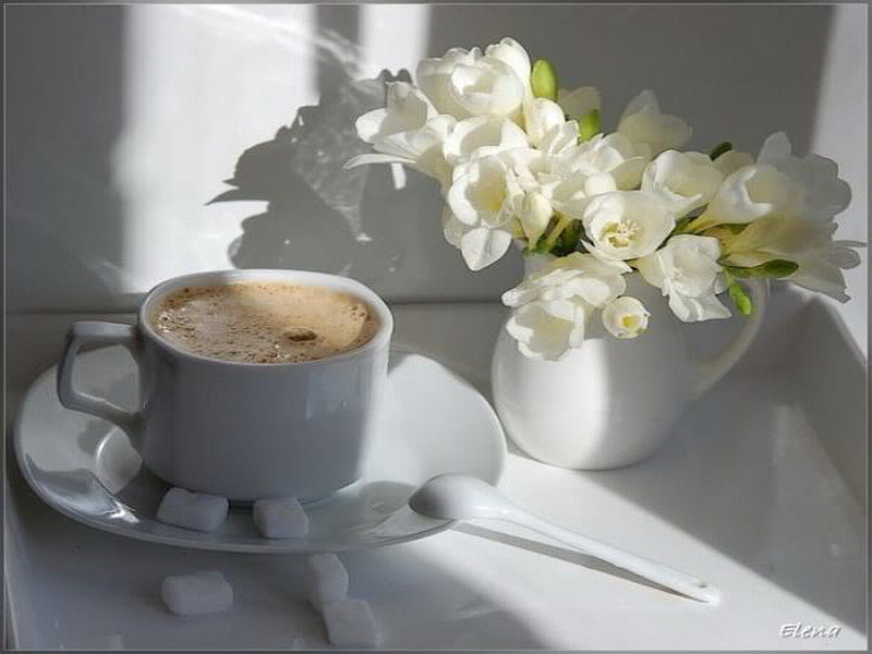 morning delight, sia, sunshine, coffee, white, HD wallpaper