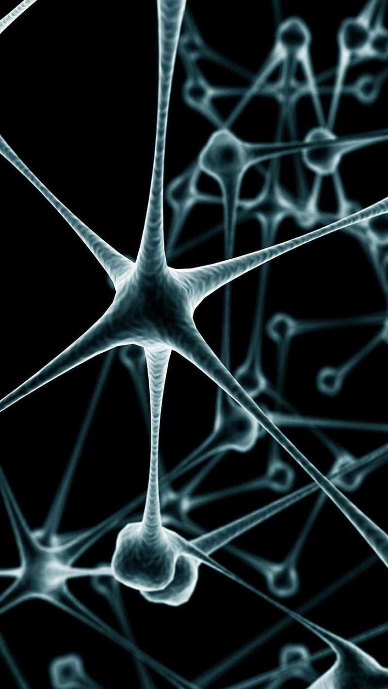 Neurons, abstract, cells, HD phone wallpaper