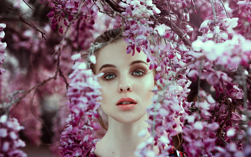 Beauty, girl, model, flower, face, woman, pink, wisteria, HD wallpaper