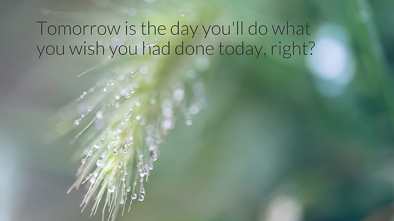 Tomorrow Is The Day You Will Do What You Wish Inspirational, HD wallpaper