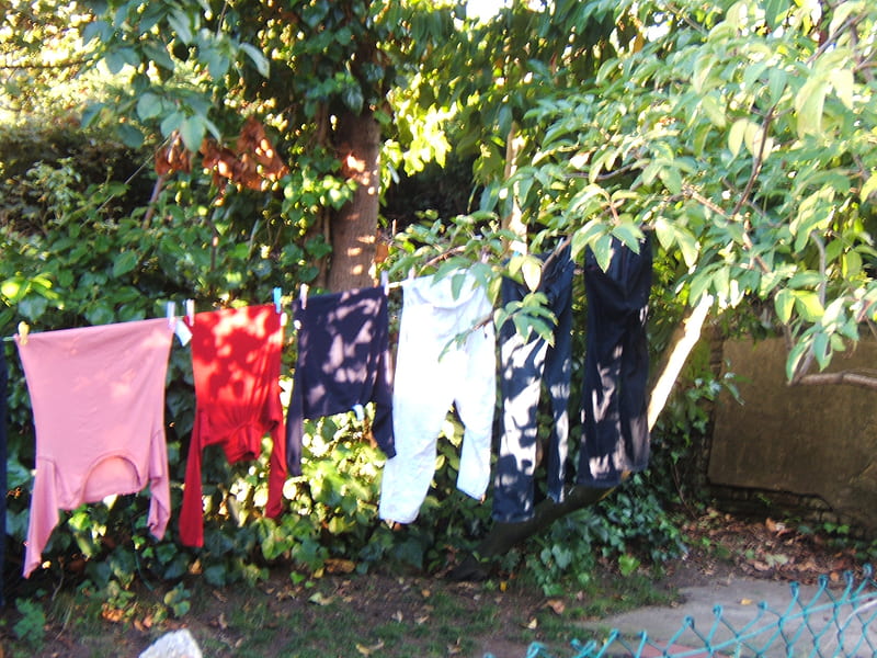 washing line, clothes, tree, nature, line, HD wallpaper