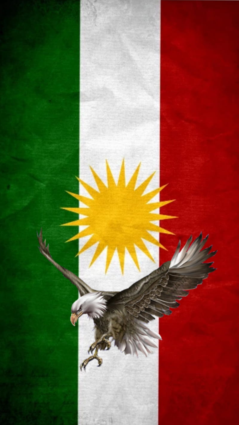 Kurdistan, kurdish, phone, warrior, angels, wings, angel, sun, HD phone wallpaper