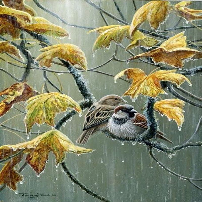 ❤️, Branches, Trees, Sparrow, Forest, rain, Wildlife, HD wallpaper