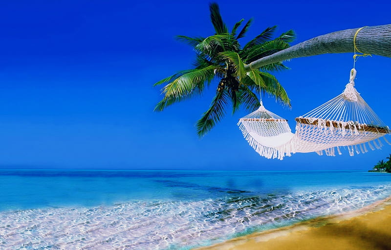 Tropical rest, topics, rest, vacation, exotic, beauitful, ocean, relax, hammock, sky, palms, sea, beach, paradise, summer, sands, HD wallpaper