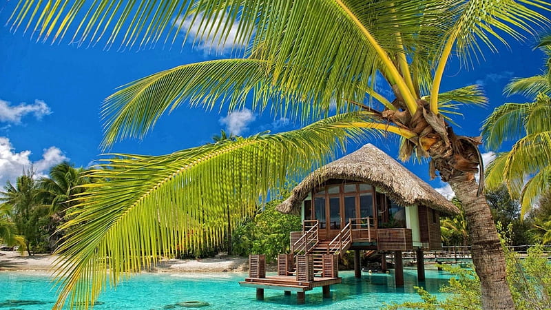 Tropical Resort, resort, ocean, travel, turquoise water, bonito, white sandy beach, palm trees, beach, paradise, summer, chapel, island, tropical, HD wallpaper