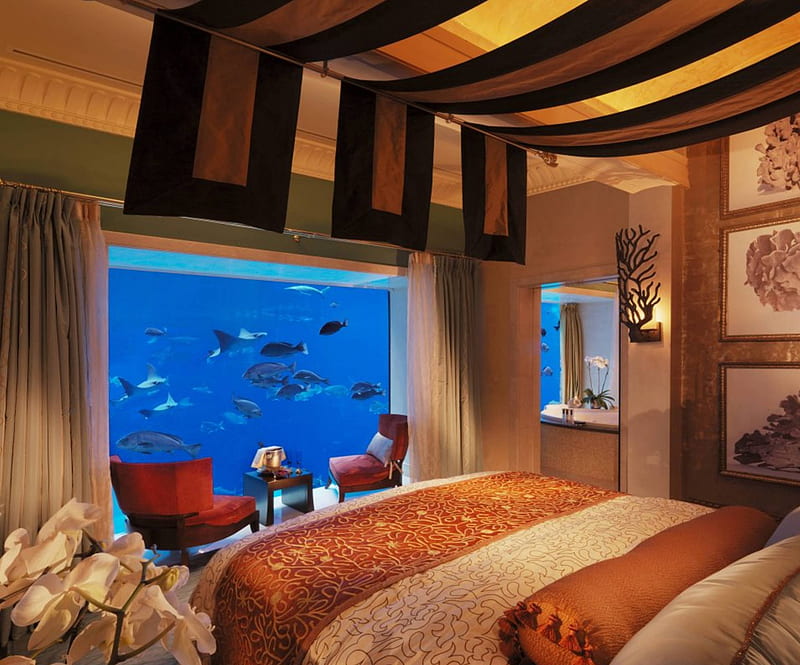 The Lost Chambers Suite Atlantis The Palm Dubai, resort, fish, retreat, dubai, lost chambers, sea, bed, the palm, coral reef, room, fish tank, luxury, hotel, underwater, exotic, view, holiday, ocean, atlantis, suite, paradise, tropical, HD wallpaper
