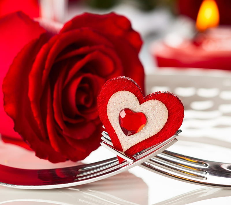 Heart On Fork, love, rose, valentines day, HD wallpaper