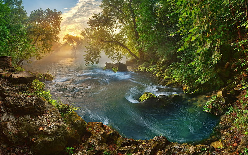 America, morning, beautiful nature, river, forest, Missouri, USA, HD wallpaper