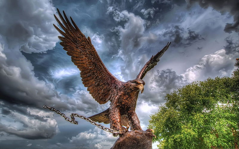 bronze bird, eagle, robins air force base, warner robins, georgia, HD wallpaper