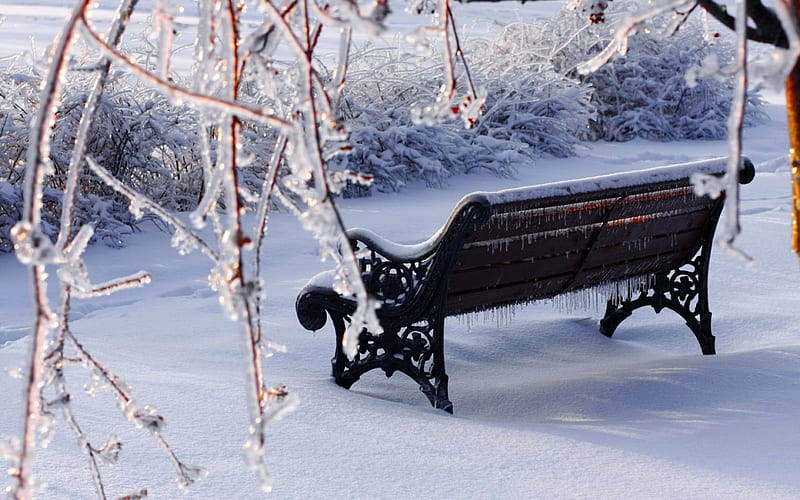 Icy bench, pretty, rest, lovely, bench, winter, cold, nice, icy, snow, ice, nature, frozen, frost, HD wallpaper