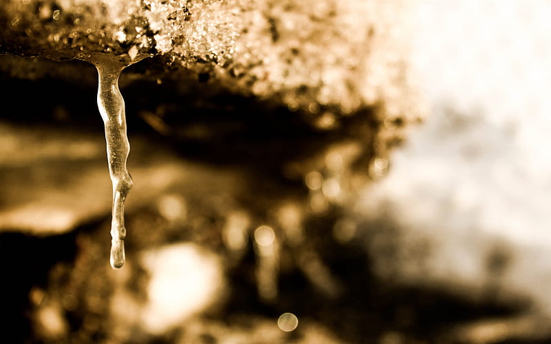winter icicle-Drops of water droplets macro graphy, HD wallpaper