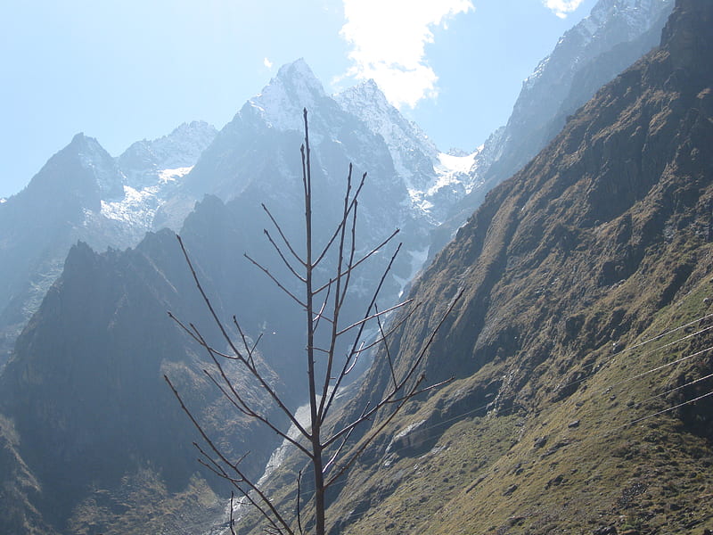 himalaya, mountain, cloud, dry plant, ice, blue sky, HD wallpaper
