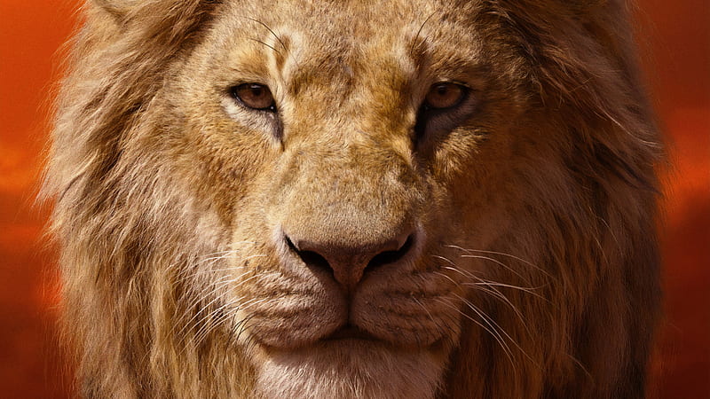 The Lion King 2019, poster, fantasy, movie, leu, simba, the lion king, face, disney, HD wallpaper