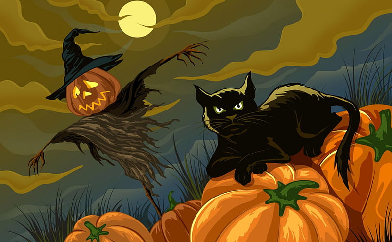 Black Cat and Scarecrow, halloween, full moon, black cat, scarecrow, pumpkins, night, HD wallpaper