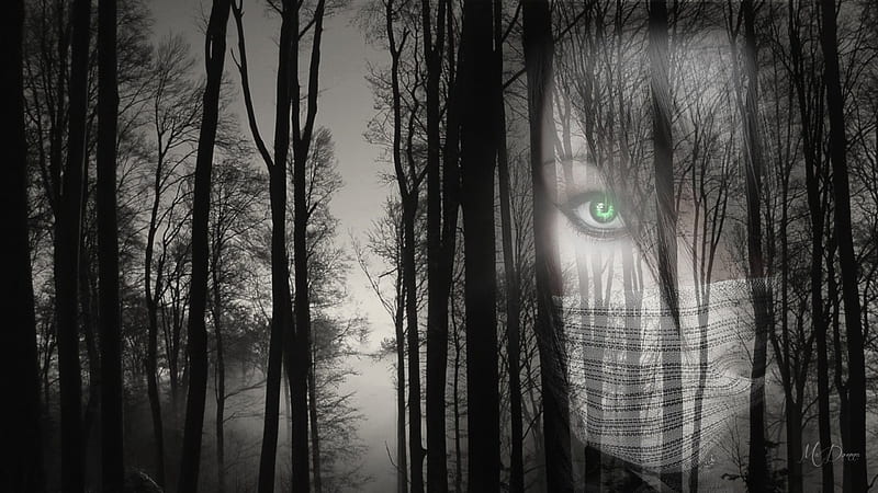 Silent Forest, mystical, forest, woods, silence, black and white, collage, trees, woman, goth, overlay, Gothic, mask, HD wallpaper