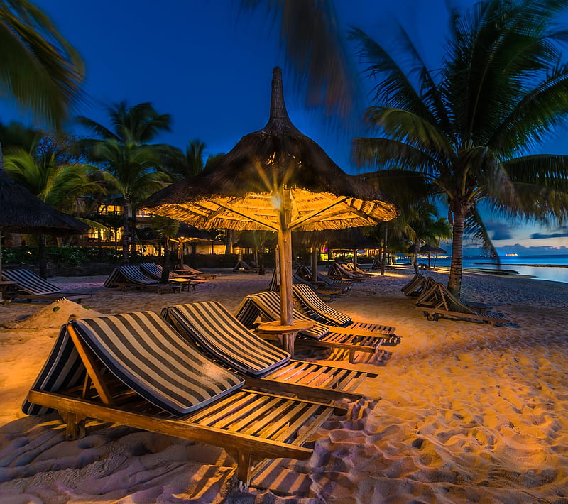 Mauritius, beaches, evening, palm, HD wallpaper
