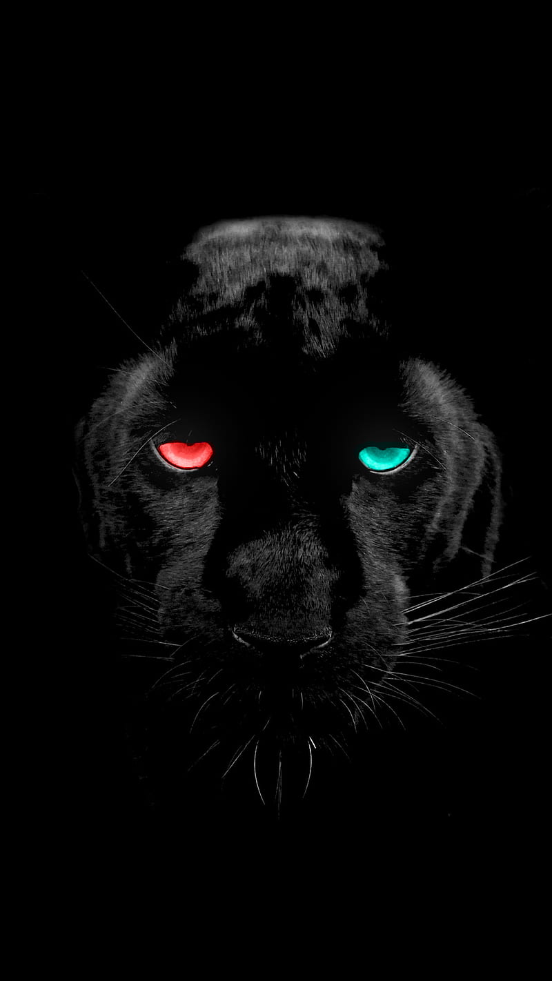 Black Panther, amoled, cat, green eye, hq, jungle, magical, mysterious, red eye, wild, HD phone wallpaper